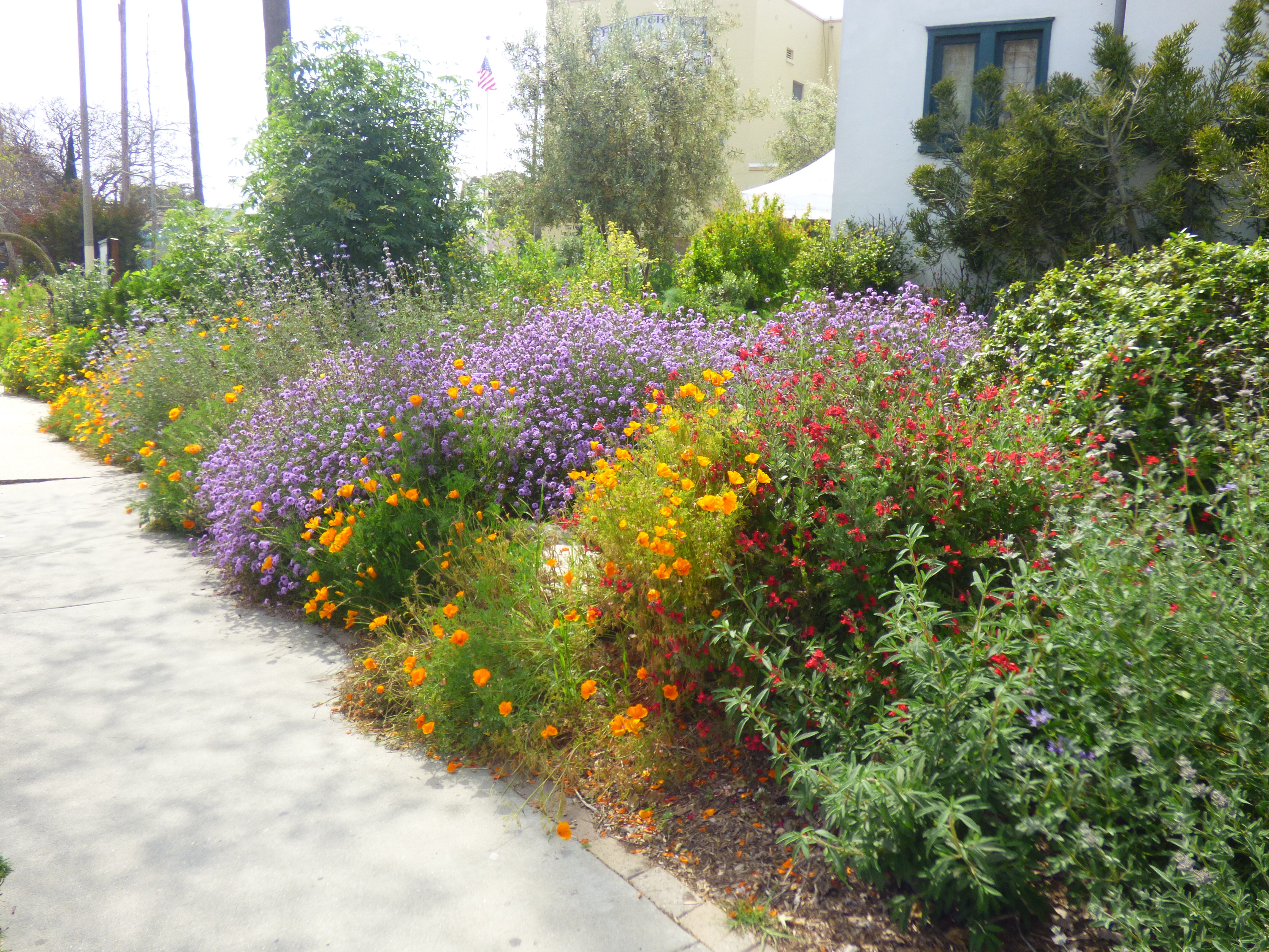Ocean Friendly Gardens Action in LA County